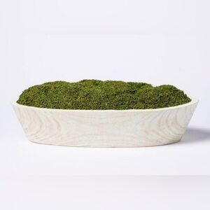 Large Threshold artificial moss plant bowl wood centerpiece shelf decor modern